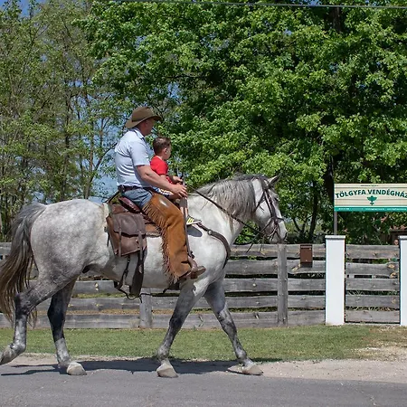 Toelgyfa Vendeghaz בית הארחה קישקורוש