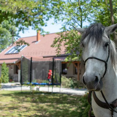 Tölgyfa Vendégház 4*