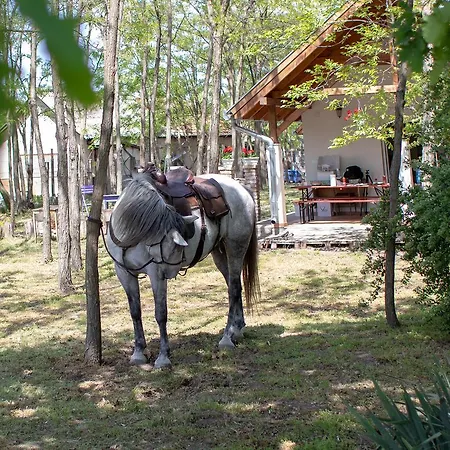 Toelgyfa Vendeghaz בית הארחה קישקורוש