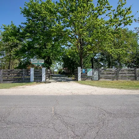 Toelgyfa Vendeghaz קישקורוש