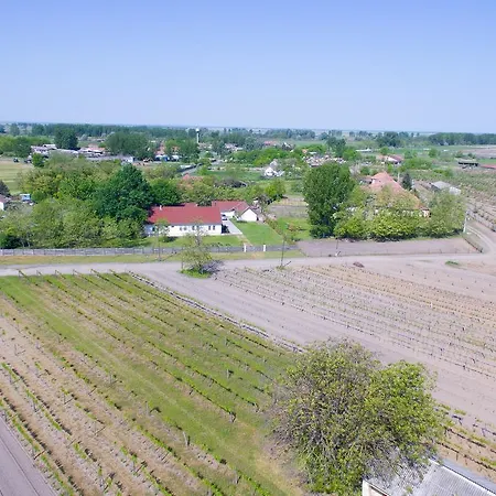 בית הארחה Toelgyfa Vendeghaz