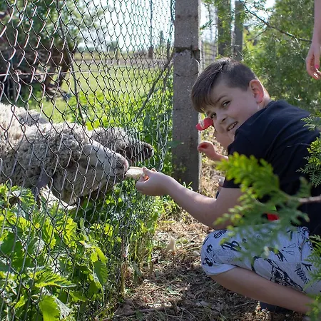 בית הארחה Toelgyfa Vendeghaz 4*