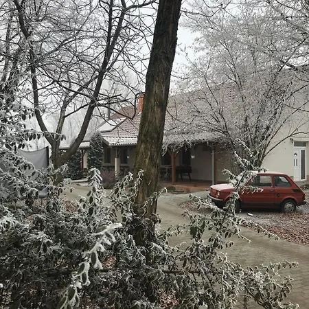 Toelgyfa Vendeghaz 4* קישקורוש