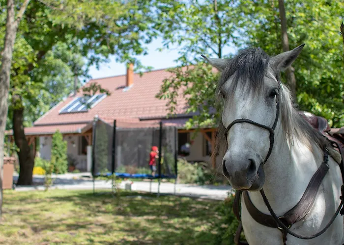 Tölgyfa Casa de hóspedes 4*