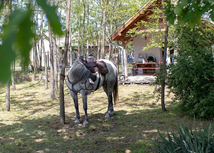 Tölgyfa Casa de hóspedes Kiskoros